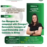 Rethinking the customary land question
