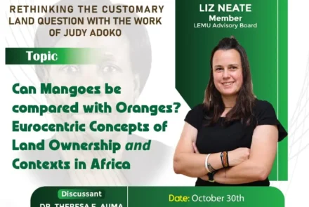 Rethinking the customary land question
